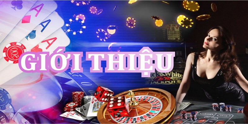 98WIN - nhà cái hàng đầu hiện nay